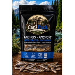 Anchois sauvage