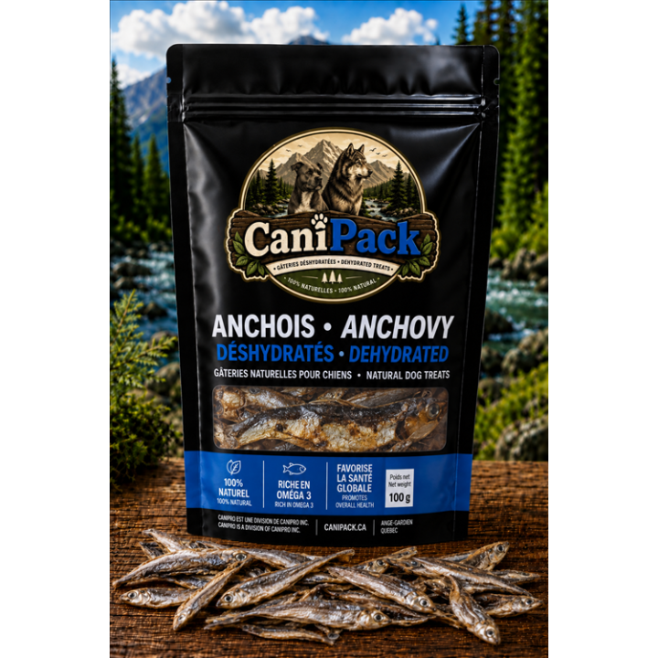 Wild Anchovy